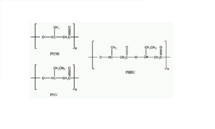 Read more about the article Procurement Resource Analyses the Production Cost of Polyhydroxy Butyrate in its New Report