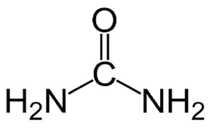 Read more about the article Carbamide Production Cost Analysis Report: Manufacturing Process, Raw Materials Requirements, Variable Cost, Production Cost Summary and Key Process Information