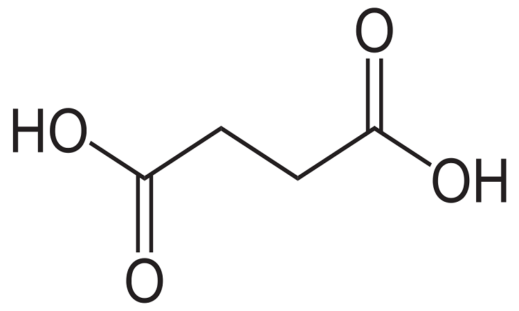 Read more about the article Procurement Resource Analyses the Production Cost of Succinic Acid in its New Report