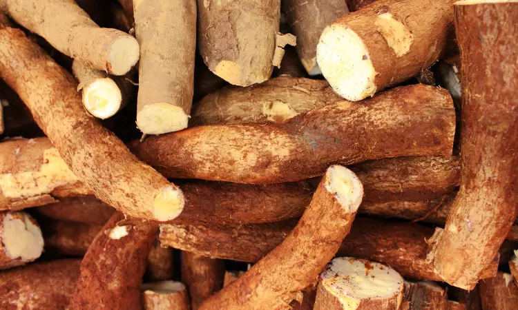 Read more about the article Global Cassava Industry Report: Analysis and Forecast 2022-2027