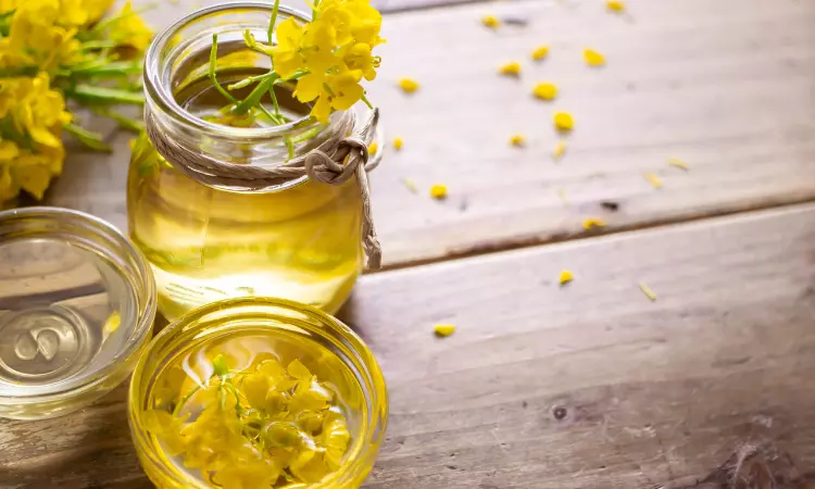 Read more about the article Procurement Resource Evaluates the Price Trends of Rapeseed Oil in its Latest Insights and Dashboard