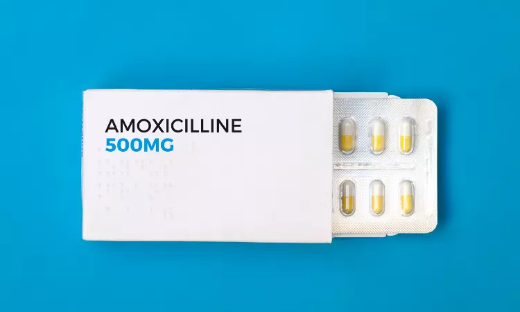 Read more about the article Procurement Resource Analyses the Production Cost of Amoxicillin in its New Report