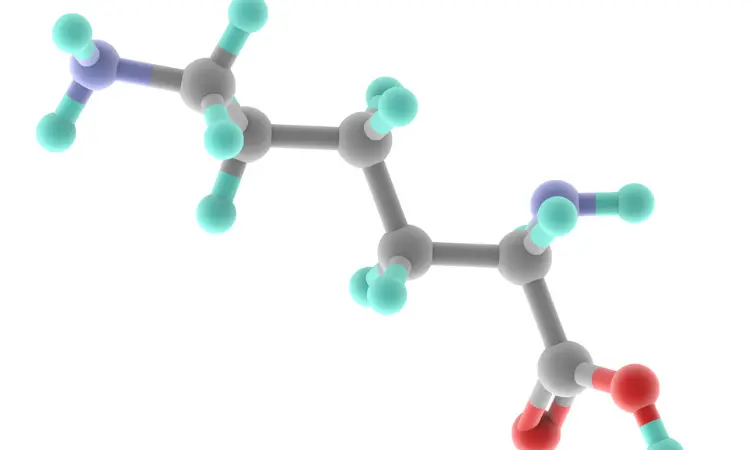 Read more about the article Procurement Resource Analyses the Production Cost of Lysine in its New Report