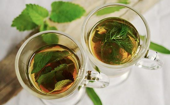 Read more about the article Indian Tea Market to be Driven by the Increasing popularity of Tea in the Country in the Forecast Period of 2024-2032