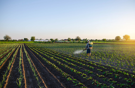 Read more about the article Global Crop Protection Chemicals Market to be Driven by the Increased Need for Food and Higher Crop Yields in the Forecast Period of 2023-2028