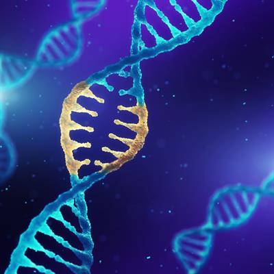 Read more about the article Global Epigenomics Market to be Driven by the Growing Need to Study Complex Diseases in the Forecast Period of 2023-2028