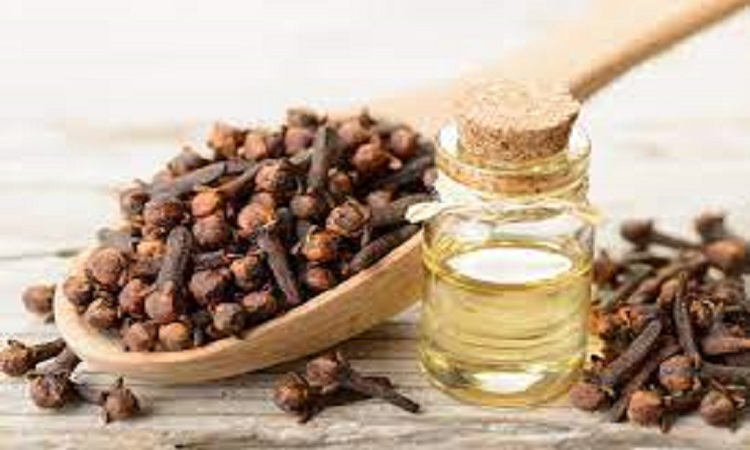 Read more about the article Procurement Resource Evaluates the Price Trends of Clove Bud Oil in its Latest Insights and Dashboard