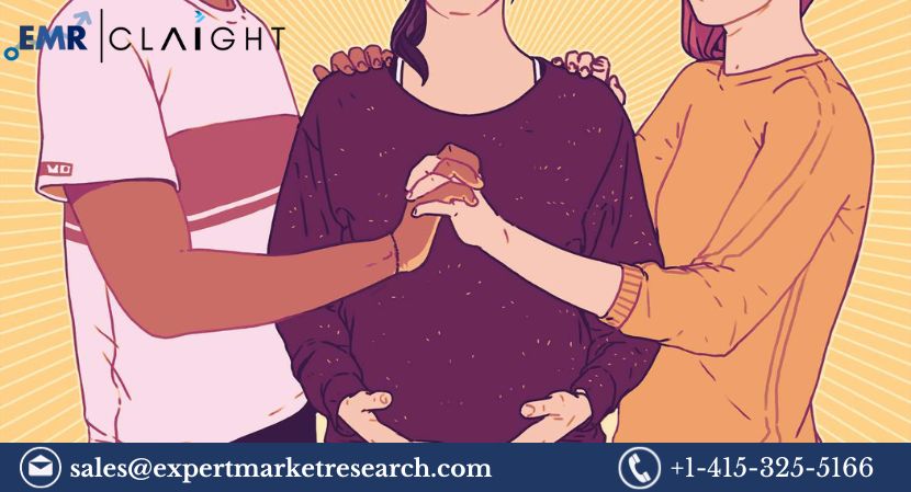 Read more about the article Global Surrogacy Market to be Driven by Growing Number of Infertility Cases and Increasing Prevalance of Alcohol Cosumption During the Forecast Period of 2024-2032