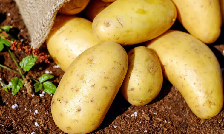 Read more about the article Procurement Resource Evaluates the Price Trends of Potato in its Latest Insights and Dashboard