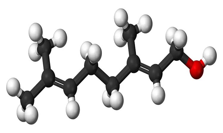 Read more about the article Procurement Resource Evaluates the Price Trends of Geraniol in its Latest Insights and Dashboard