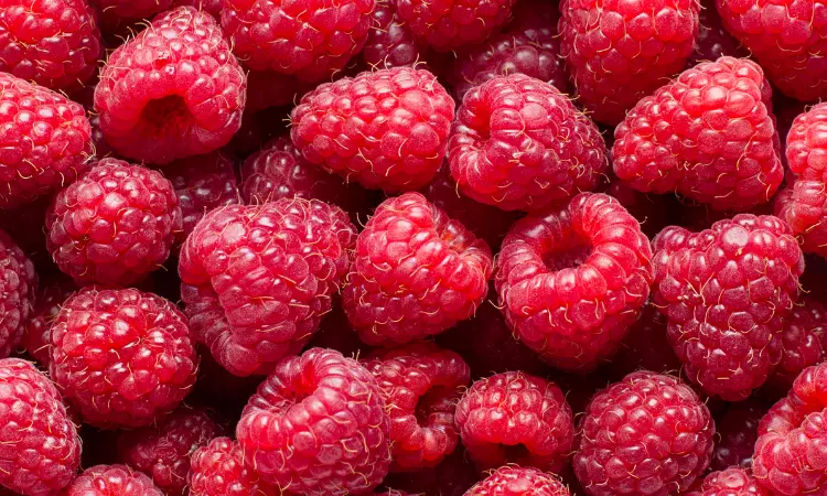 Read more about the article Procurement Resource Evaluates the Price Trends of Raspberries in its Latest Insights and Dashboard