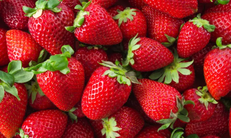 Read more about the article Procurement Resource Evaluates the Price Trends of Strawberries in its Latest Insights and Dashboard