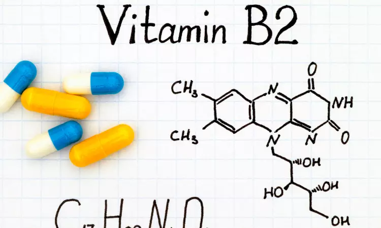 Read more about the article Procurement Resource Evaluates the Price Trends of Vitamin B2 in its Latest Insights and Dashboard