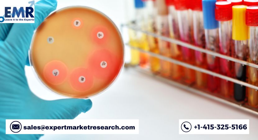 Antimicrobial Additives Market