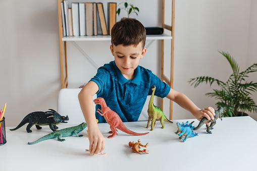 Read more about the article Latin America Toys Market to Bolster During 2023-2028, Driven by Expanding Use in Cognitive Enhancement of Kids