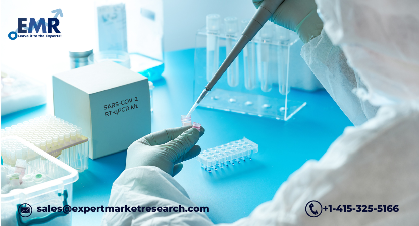 Read more about the article Middle East and Africa In-Vitro Diagnostics Market Growth to be Driven by the Growing Need for Efficient and accurate diagnostics in the Forecast Period of 2024-2032