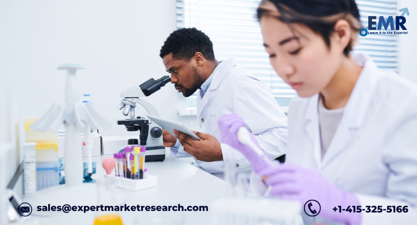 Read more about the article North America In-Vitro Diagnostics Market Expansion to be Driven by the Rising Popularity of Point of Care Diagnostics in the Forecast Period of 2024-2032