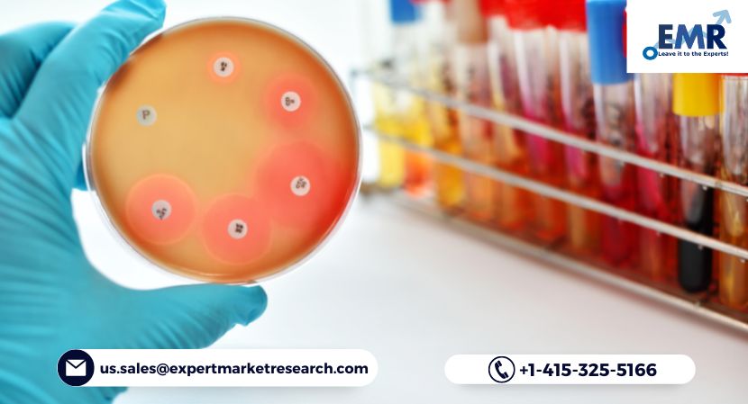 Read more about the article Global Antimicrobial Additives Market to be Driven by the Expanding Automotive Market in the Forecast Period of 2024-2032