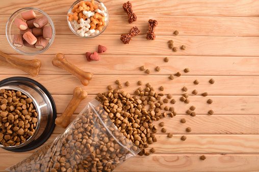 Read more about the article Argentina Pet Food Market to Branch Out Significantly During 2022-2027, Driven by Emerging Pet Humanisation Trend