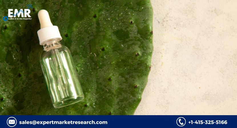 Read more about the article Global Cactus Water Market to be Driven by the Increasing Demand for Healthy Beverages in the Forecast Period of 2024-2032