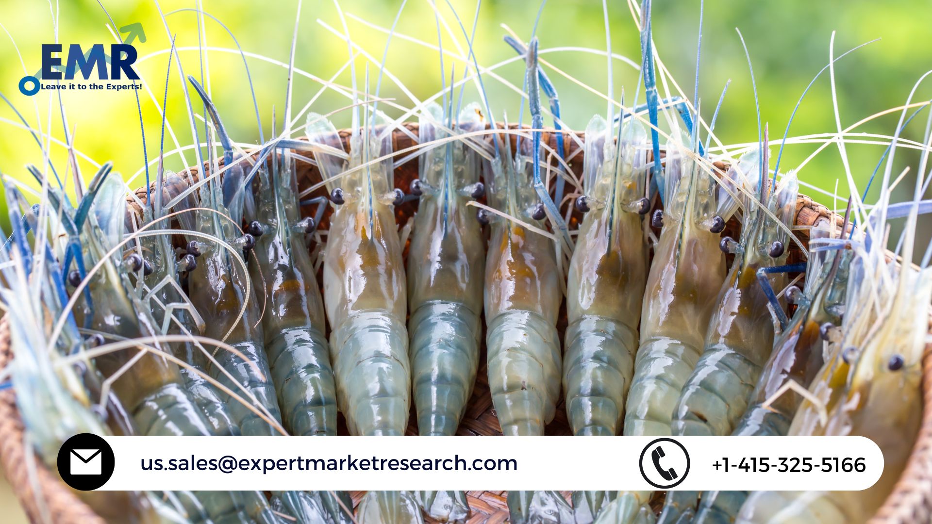 Read more about the article Global Shrimp Market Size to Grow at a CAGR of 4.5% between 2022 and 2027