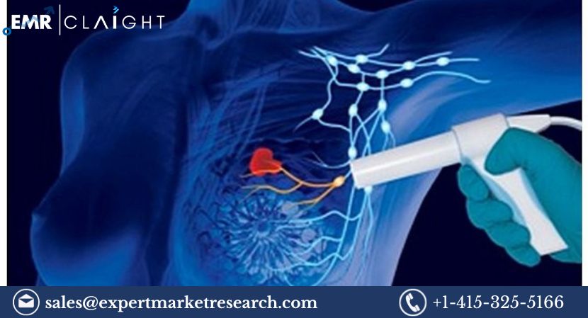 Read more about the article Breast Cancer Therapeutics Market Size to Grow at a CAGR of 10.3% in the Forecast Period of 2024-2032