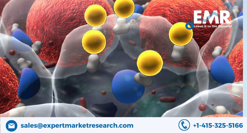 Read more about the article Global Cell Separation Technologies Market Size to Grow at a CAGR of 19% in the Forecast Period of 2023-2031