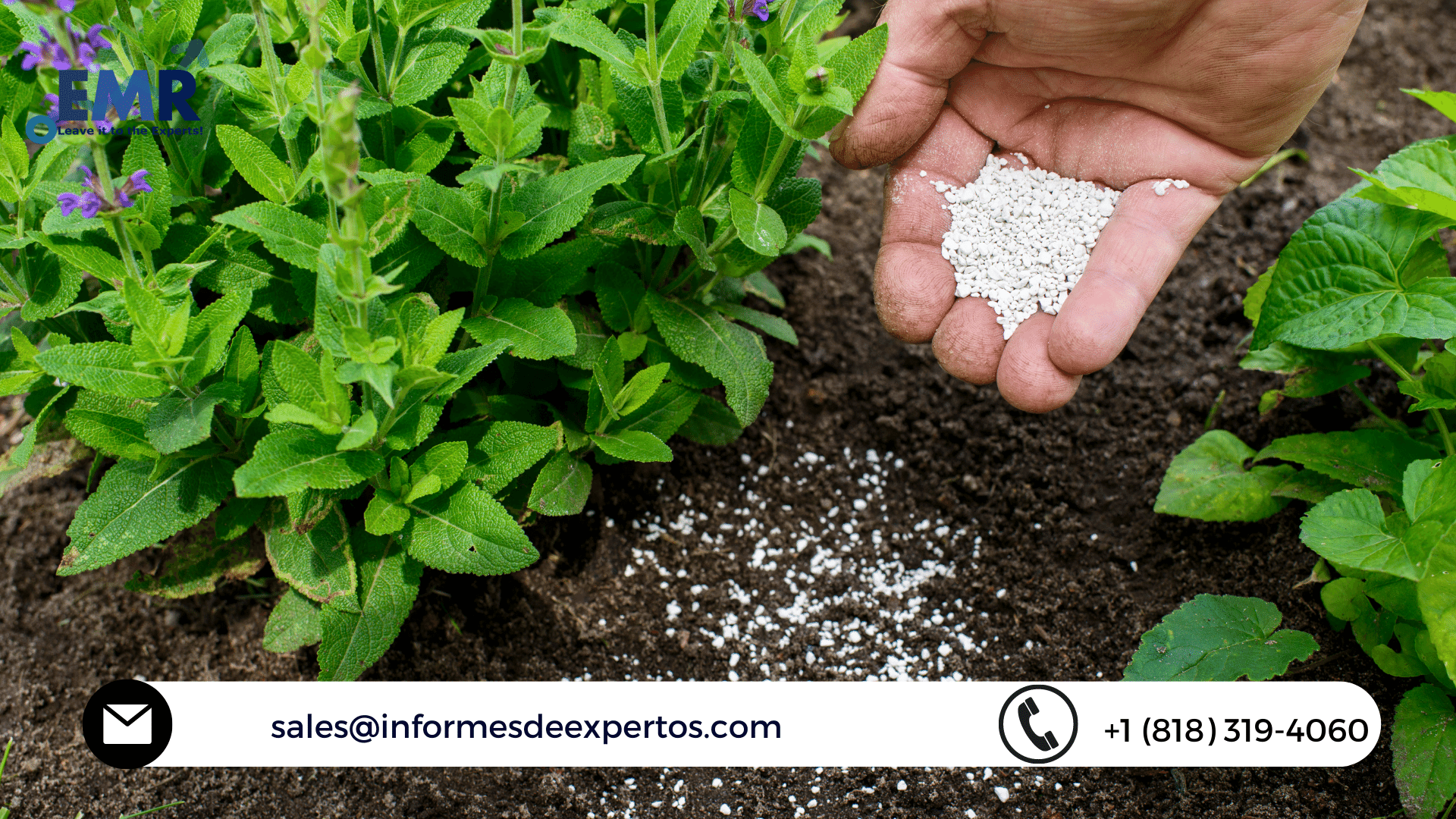 latin-america-fertiliser-market-to-augment-during-2022-2027-with-the