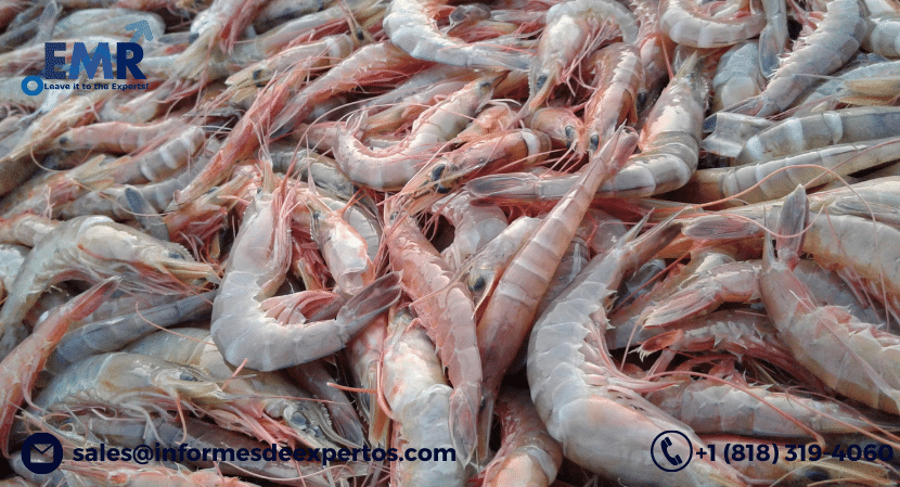 Read more about the article Latin America Shrimp Market to Move Towards Expansion During 2022-2027, Driven by Increased Popularity of Frozen Food