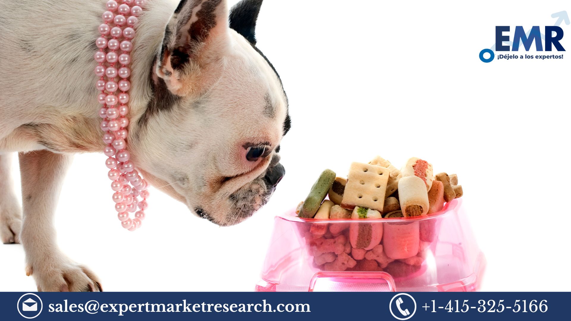 Read more about the article Global Pet Food Market Size to Grow at a CAGR of 5.5% in the Forecast Period of 2023-2028