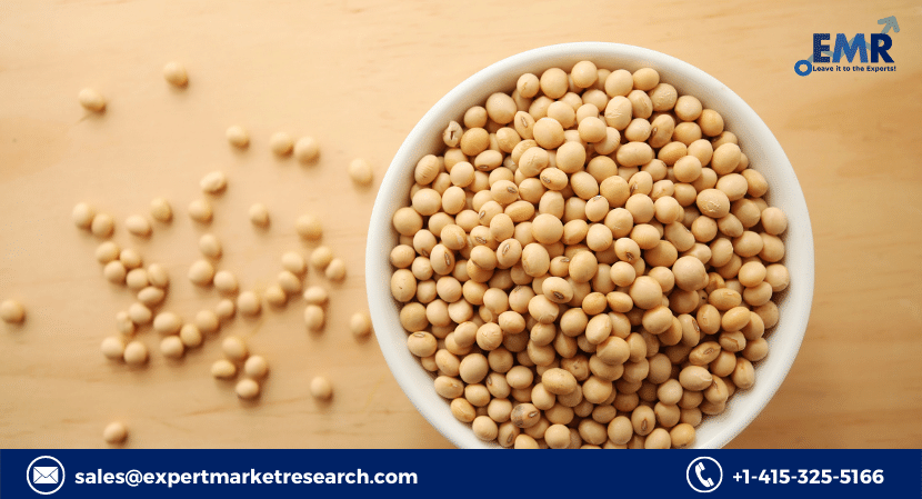 Read more about the article Global Soybean Market Size to Grow at a CAGR of 4.1% in the Forecast Period of 2024-2032