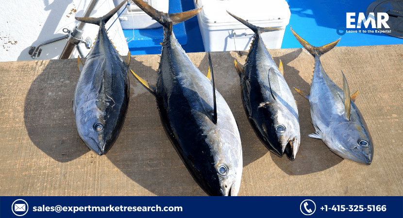 Read more about the article Global Tuna Market Size to Grow at a CAGR of 4.9% in the Forecast Period of 2024-2032