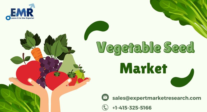 Read more about the article Global Vegetable Seed Market Size to Grow at a CAGR of 4.2% in the Forecast Period of 2024-2032