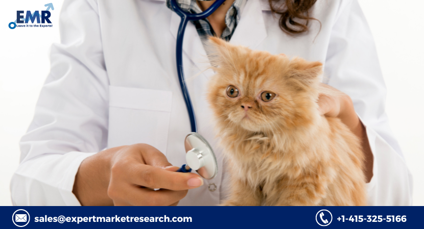 Read more about the article Global Veterinary Infectious Disease Diagnostics Market Size to Grow at a CAGR of 8.8% Between 2023-2028