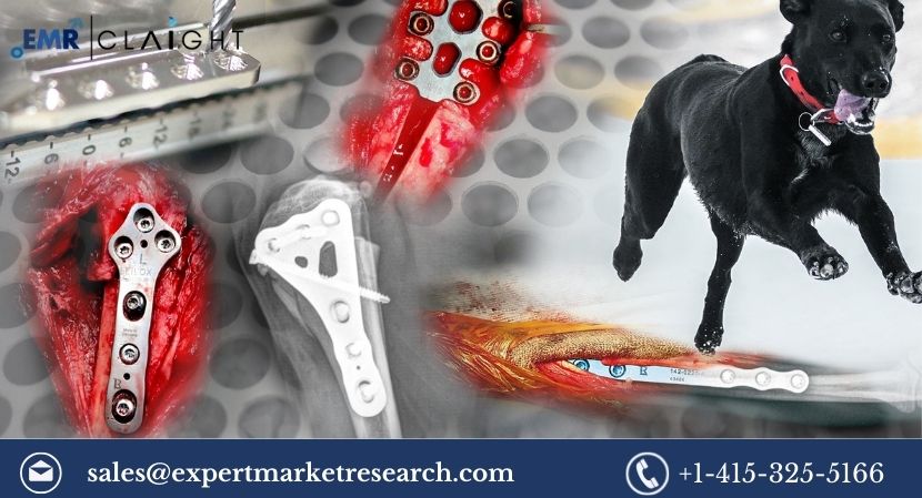 Read more about the article Global Veterinary Orthopaedic Implants Market Size to Grow at a CAGR of 7.10%in the Forecast Period of 2024-2032