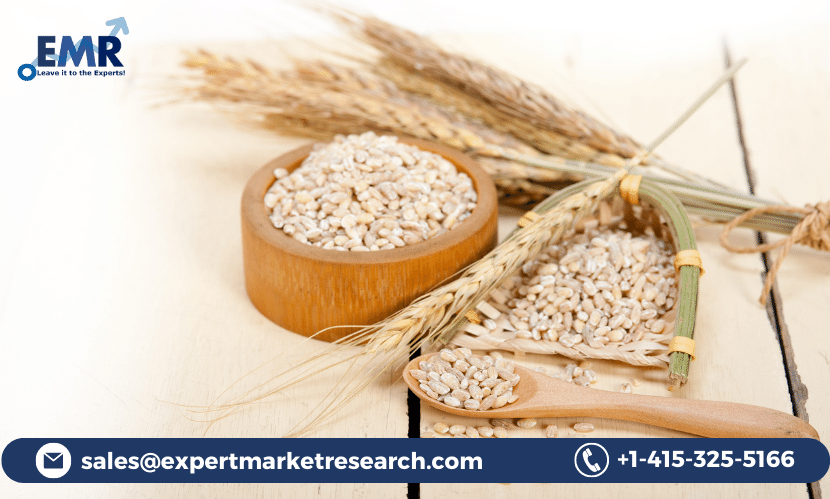 Read more about the article Global Barley Market Size to Grow at a CAGR of 6.34% in the Forecast Period of 2023-2028