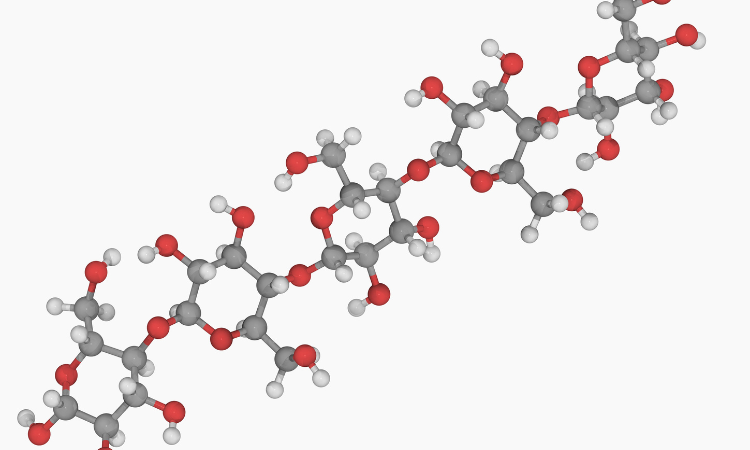 Read more about the article Carboxymethyl Cellulose Production Cost Analysis Report: Manufacturing Process, Raw Materials Requirements, Variable Cost, Production Cost Summary and Key Process Information