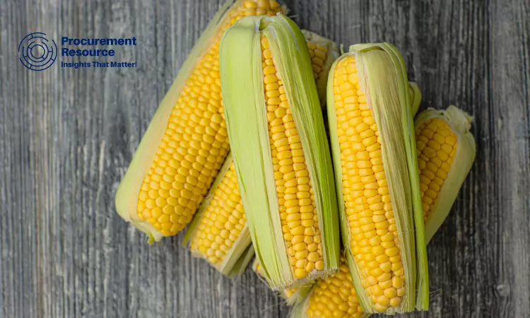 Read more about the article Corn Production Cost Analysis Report: Manufacturing Process, Raw Materials Requirements, Variable Cost, Production Cost Summary