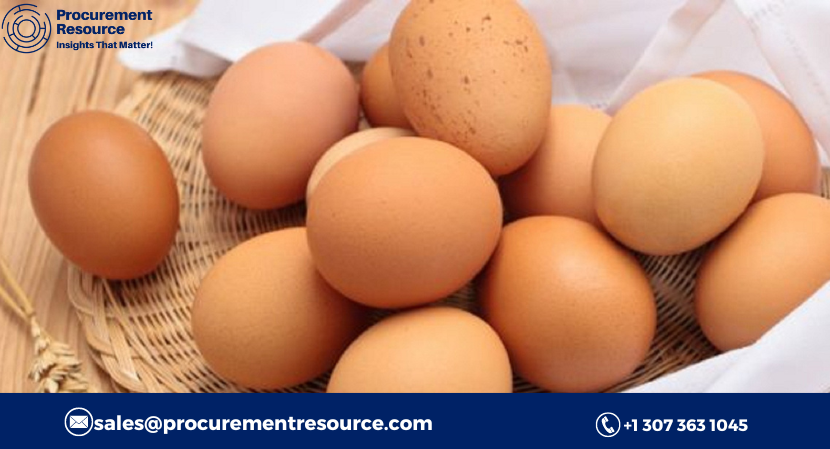 Read more about the article Eggs Production Cost Analysis Report, Raw Materials Requirements, Costs and Key Process Information, Provided by Procurement Resource