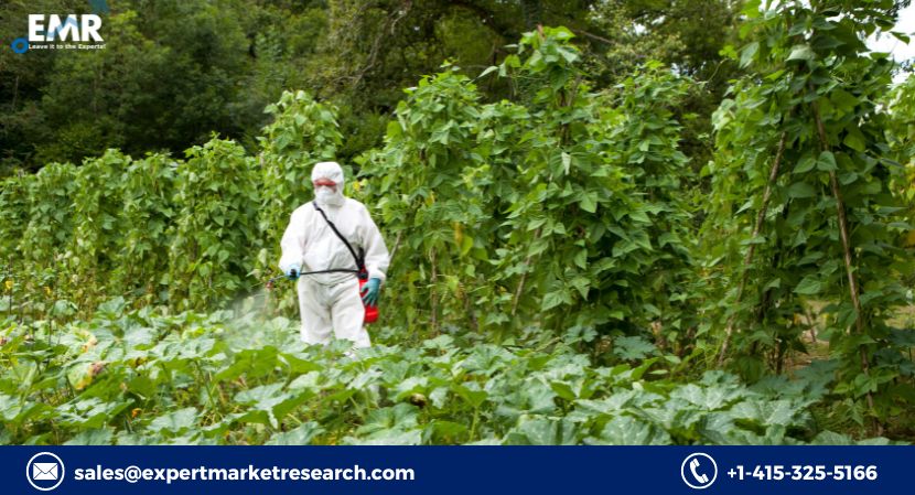 Read more about the article Global Foliar Spray Market Size to Grow at a CAGR of 6.8% in the Forecast Period of 2022-2027