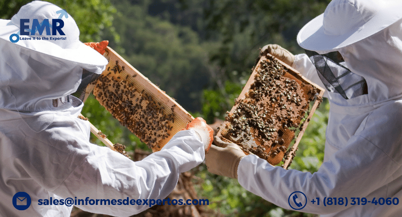 Read more about the article Latin America Apiculture Market to Create Ample Growth Opportunities During 2022-2027, Driven by High Requisition of Honey