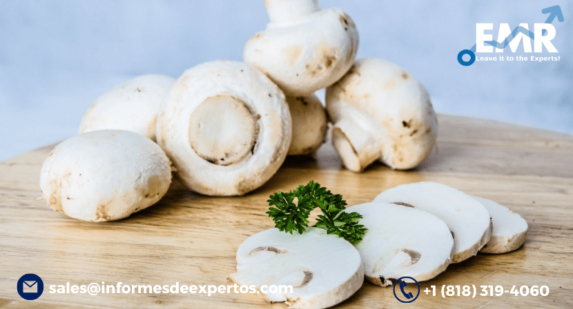 Read more about the article Latin America Mushroom Market to Expand Significantly Owing to Health Boosting Properties During 2023-2028