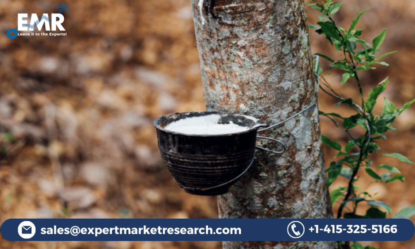 Read more about the article Global Natural Rubber Market Size to Grow at a CAGR of 4.8% in the Forecast Period of 2023-2028