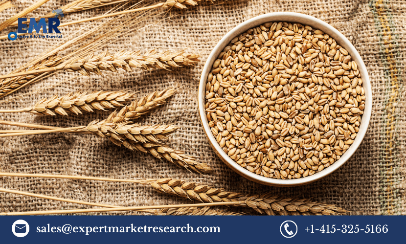 Read more about the article Global Wheat Market Size to Grow at a CAGR of 2.7% in the Forecast Period of 2023-2028