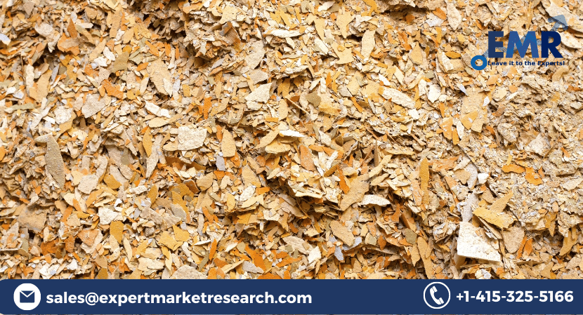 Read more about the article Global Wood Pulp Market Size to Grow at a CAGR of 1.5% in the Forecast Period of 2022-2027