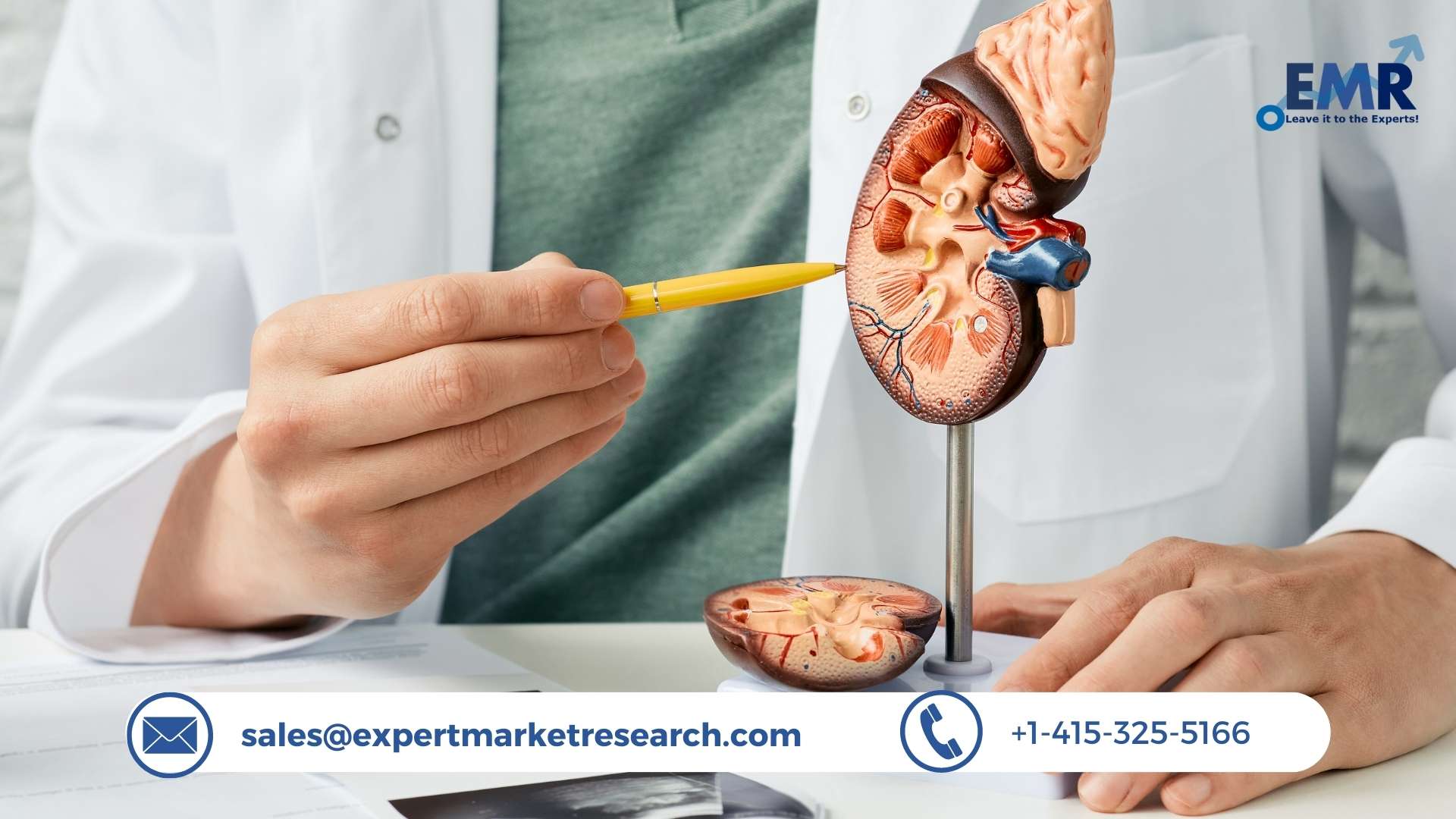 Read more about the article Global Kidney Stone Management Market Size to Increase at a CAGR of 5.20% in the Forecast Period of 2024-2032