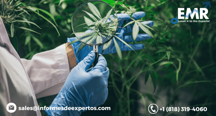 Read more about the article Latin America Medicinal Cannabis Market to Witness Growth Due to Increasing Research in the Pharmaceutical Sector During 2023-2028