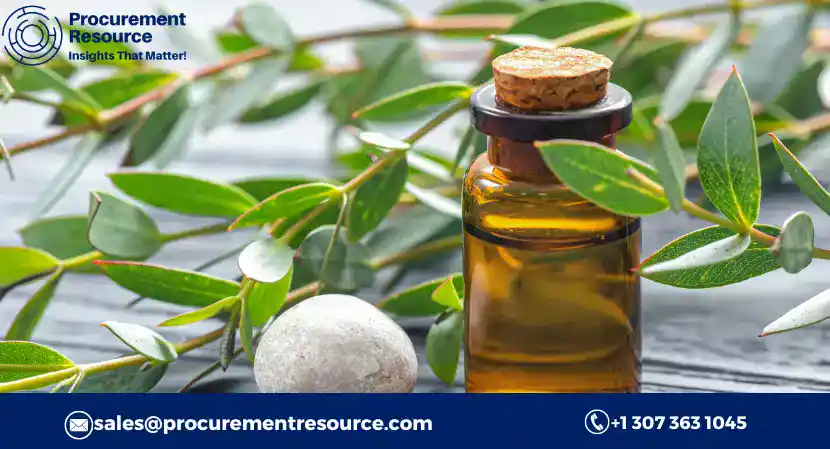 Read more about the article Eucalyptus Oil Production Cost Analysis Report 2023-2028: Manufacturing Process, Raw Materials Requirements and Cost Breakups