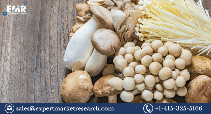 Read more about the article Global Mushroom Substrate Market to be Driven by the Increasing Preference towards Eco-Friendly Cultivating Practices in the Forecast Period of 2023-2028