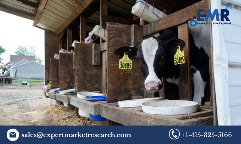 Read more about the article Global Animal Feeding Equipment Market Size to Grow at a CAGR of 5.60% in the Forecast Period of 2023-2028